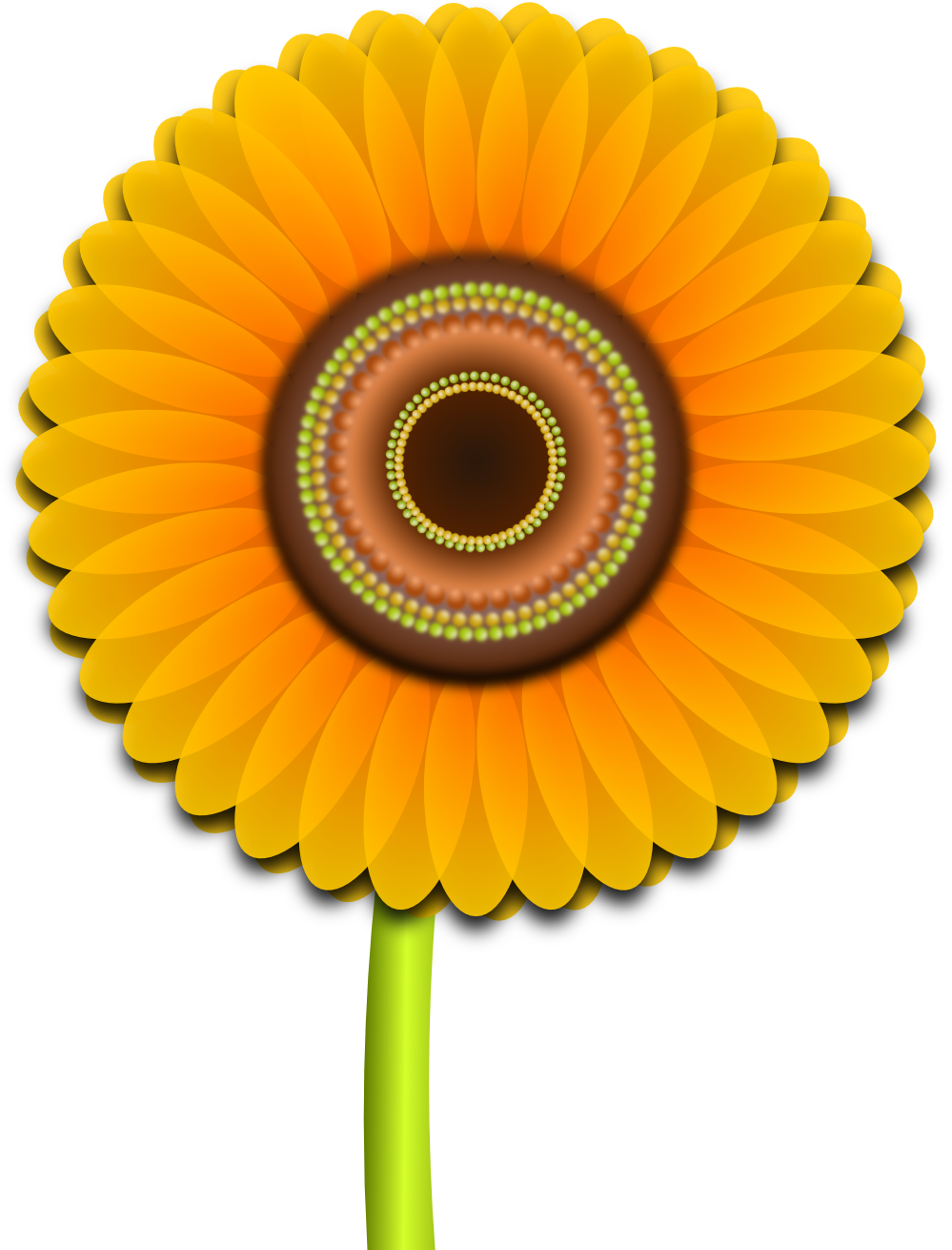 Nature Sunflower xochi.info supercalifragilisticexpialidocious ...