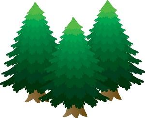 Trees, Free clipart images and Tree drawings
