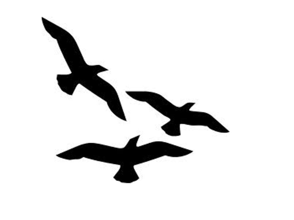 Bird Silhouette Flying - ClipArt Best