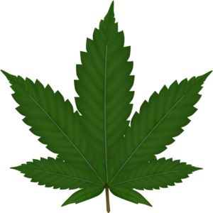 Cannabis leaf, Leaf stencil and Marijuana leaves
