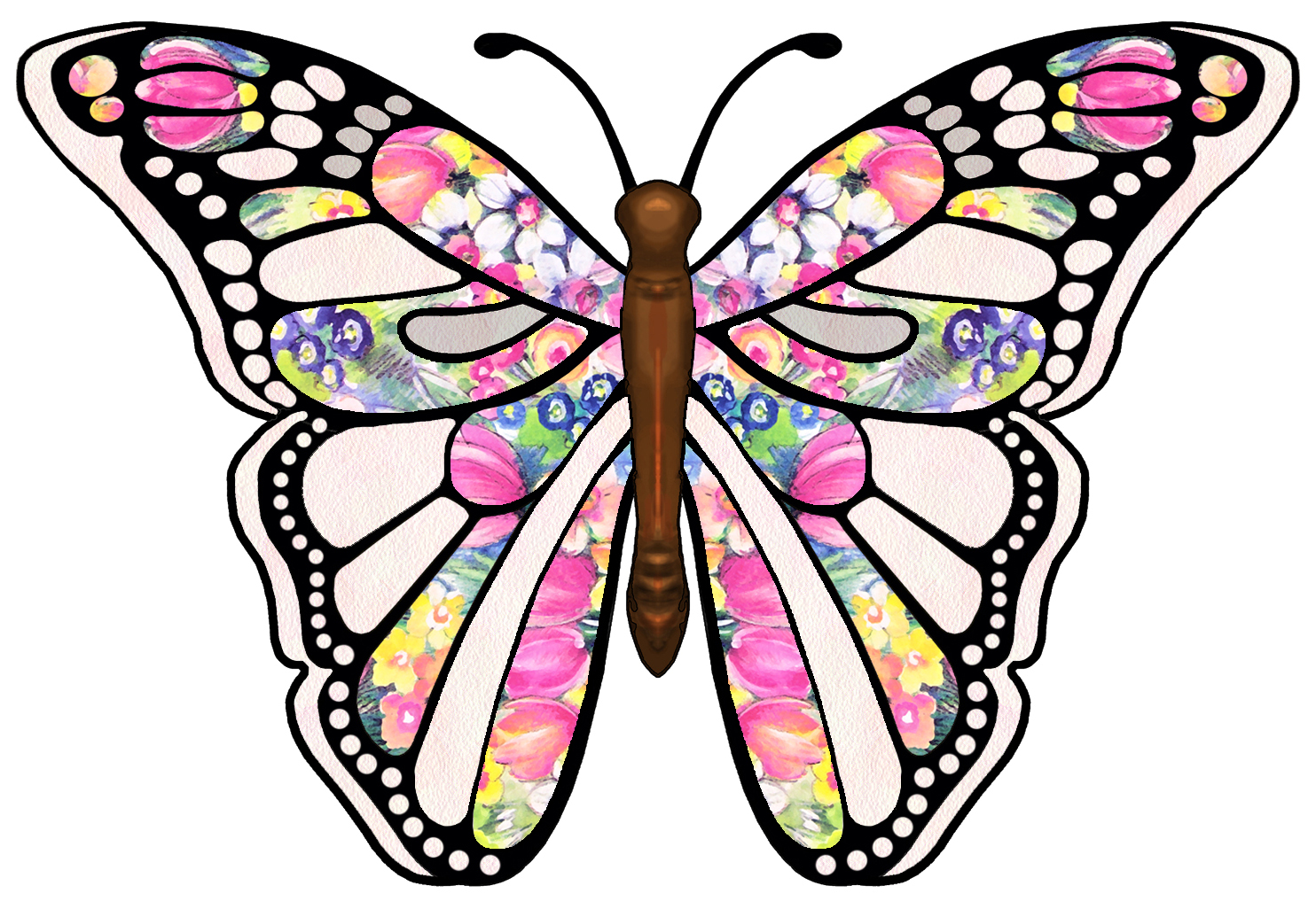 Pictures Of Butterflies | Free Download Clip Art | Free Clip Art ...