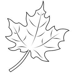 Maple leaves, Leaves and How to draw