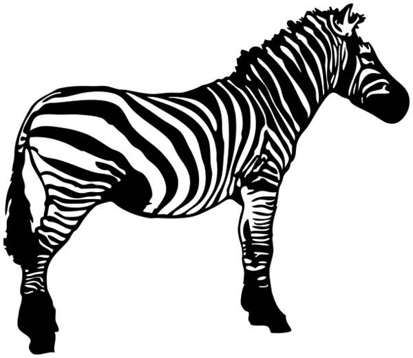 zebra head clipart - photo #32