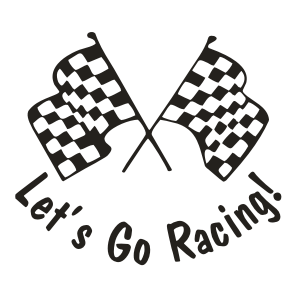1000+ images about CHECKERED RACE FLAG