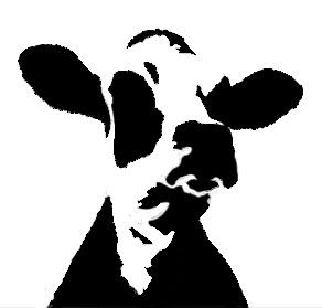 Image search, Cow and Stencils