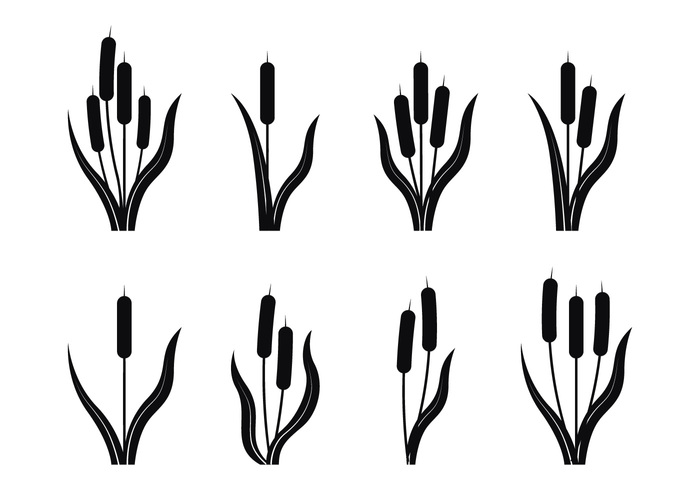 Cattails Silhouette - Download Free Vector Art, Stock Graphics ...