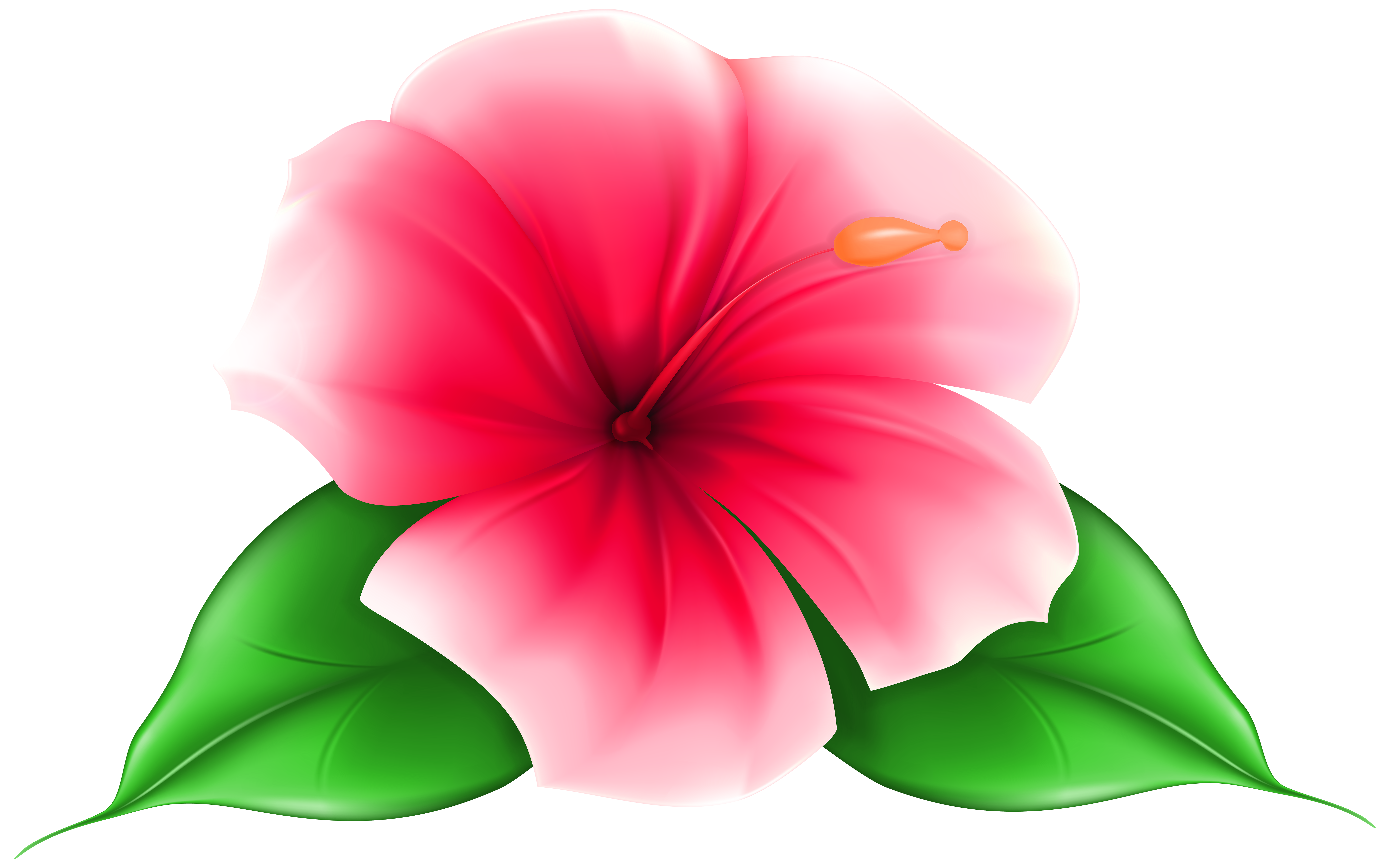 Exotic Flower PNG Clip Art Image