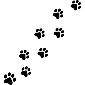 Cat Paw Prints Lot of 8 Stickers Wall Decals - Polyvore