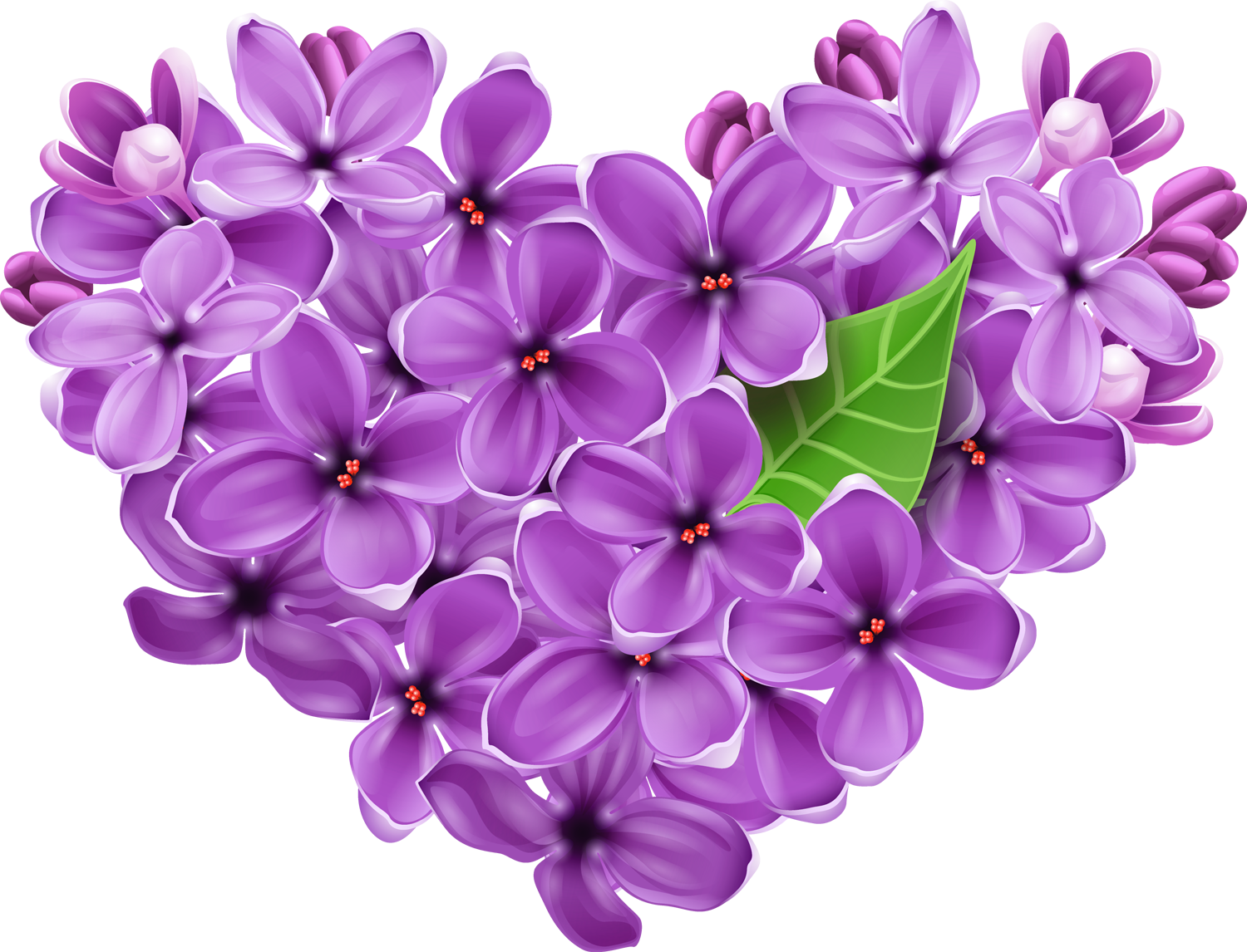 clipart lilac flowers - photo #20