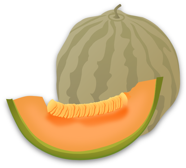 Musk Melon clip art - vector clip art online, royalty free ...