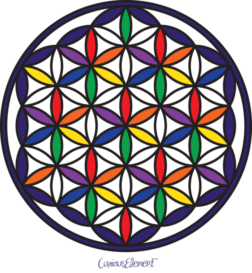 free flower of life clipart - photo #5