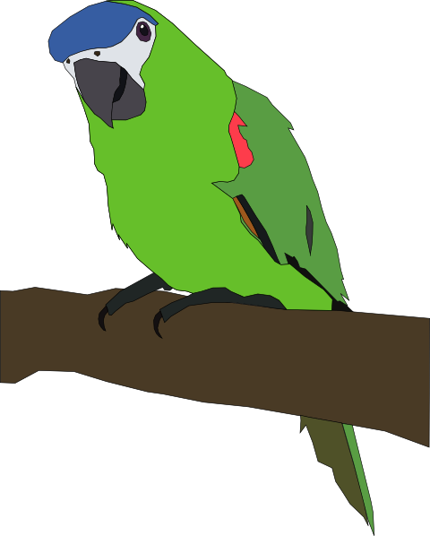 Parrot SVG Downloads - Animal - Download vector clip art online