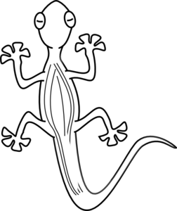 Lizard Outline clip art - vector clip art online, royalty free ...