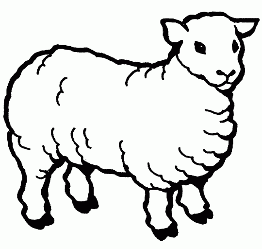 Sheep Templates Printable ClipArt Best