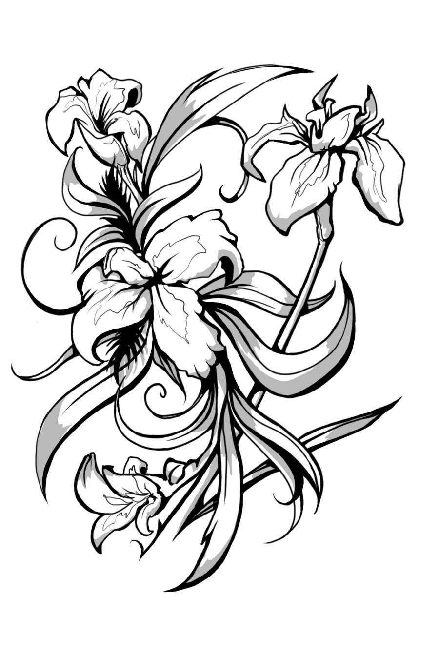 Iris black and white art - ClipArt Best - ClipArt Best