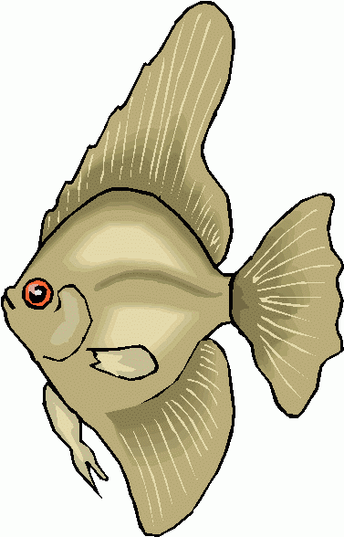 free angel fish clip art - photo #44