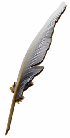 File:Quill pen.PNG - Wikipedia