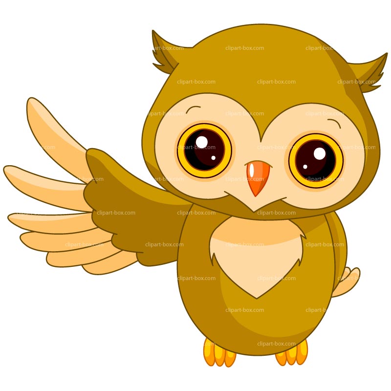 clipart night owl - photo #37