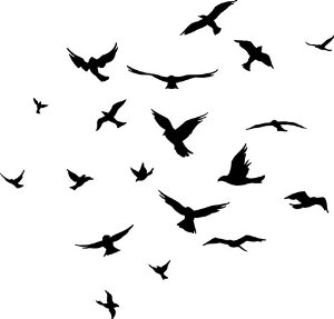 Flock Of Birds Silhouette - ClipArt Best