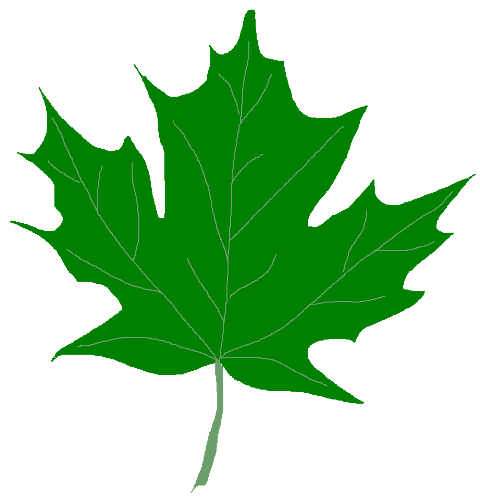 Green Maple Leaf Clipart - Free Clipart Images