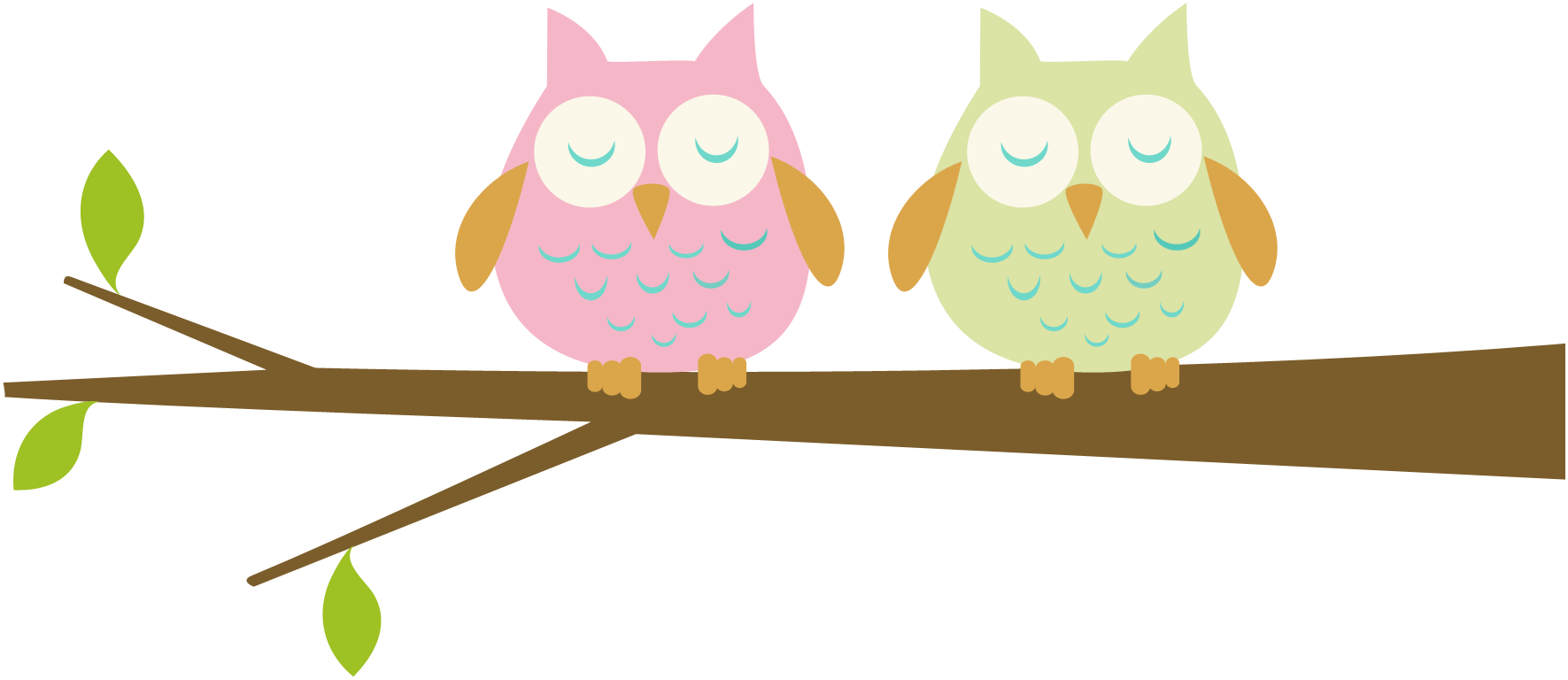 Free owl clipart with transparent background