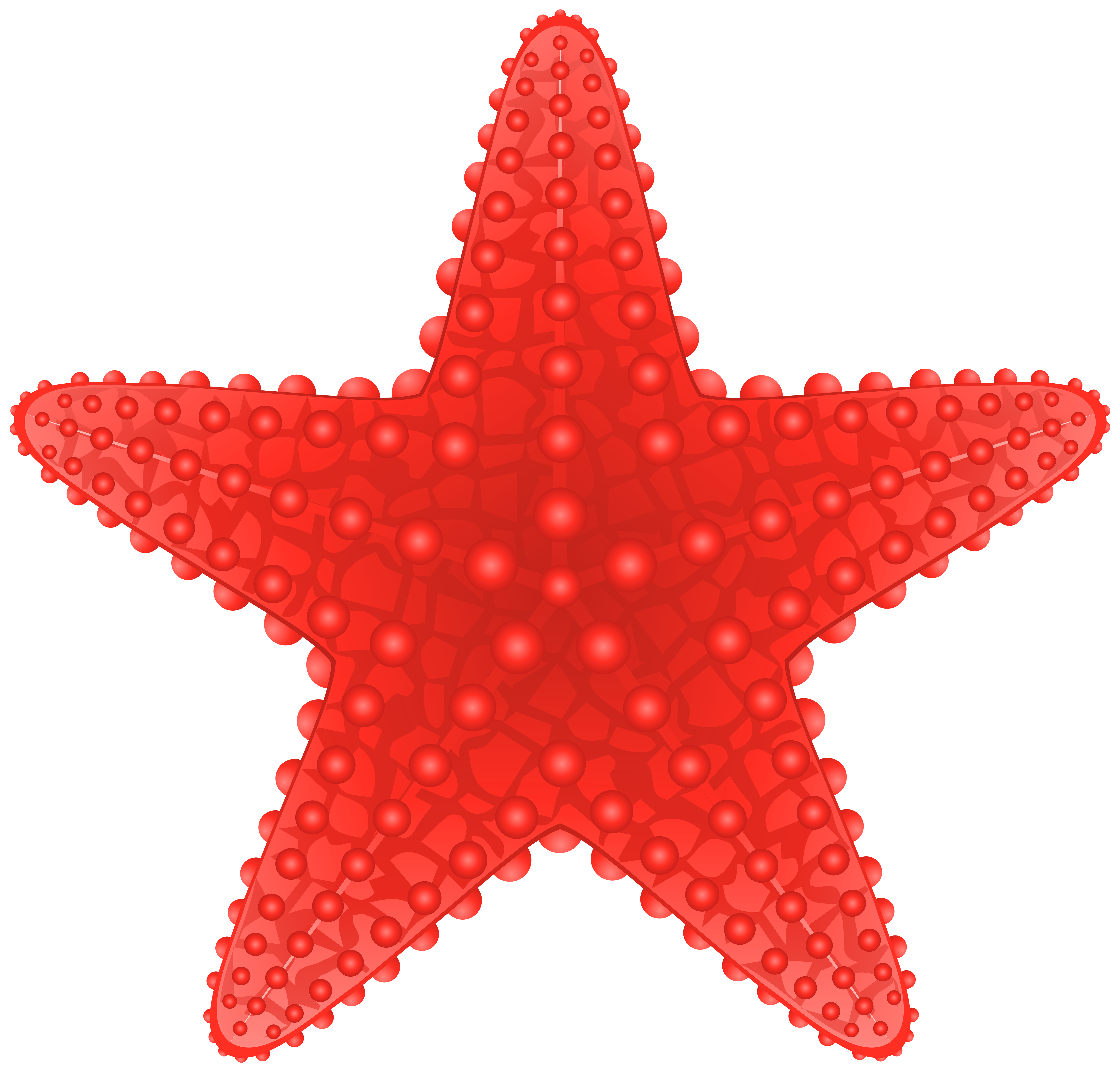 Starfish Transparent PNG Clip Art Image - ClipArt Best - ClipArt Best