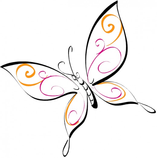 1000+ images about butterfly drawings