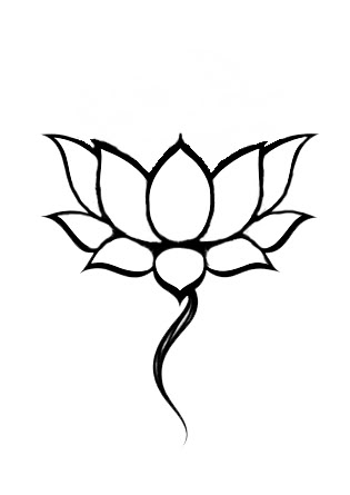 1000+ images about White lotus