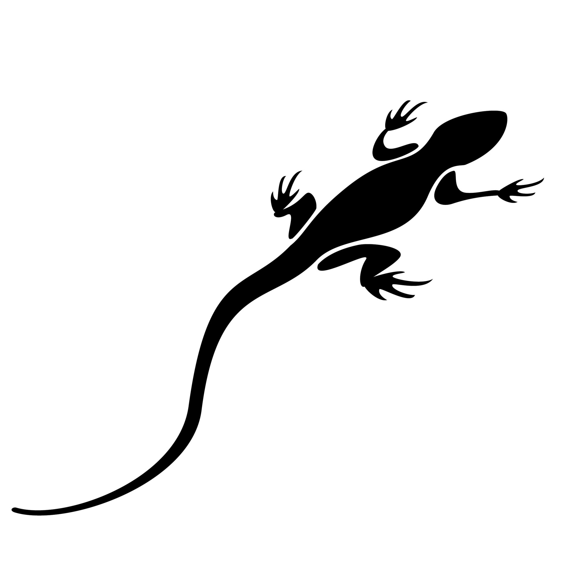 Lizard Black Silhouette Free Stock Photo - Public Domain Pictures