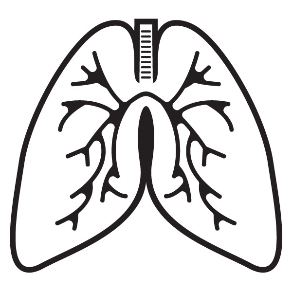 Free Lungs Clipart