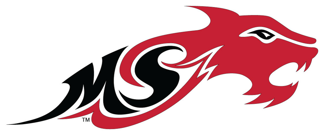 Wildcat Spirit / School Logo and Branding