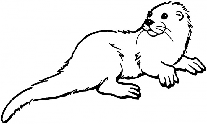 Otters coloring pages | Super Coloring
