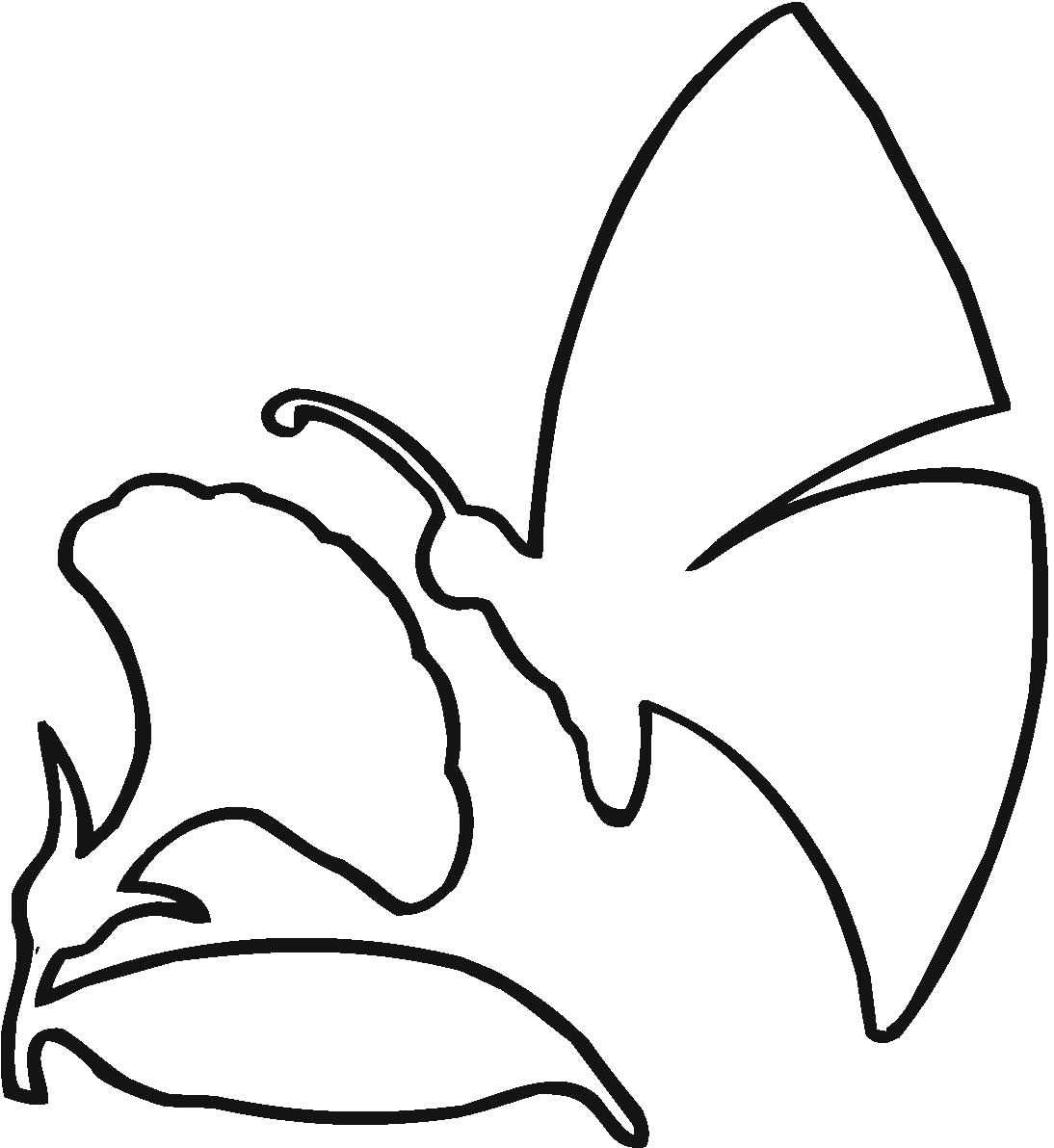 Butterfly The Flower Outline Coloring Page - Flowers Coloring ...