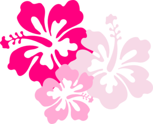 Hibiscus Pink clip art - vector clip art online, royalty free ...