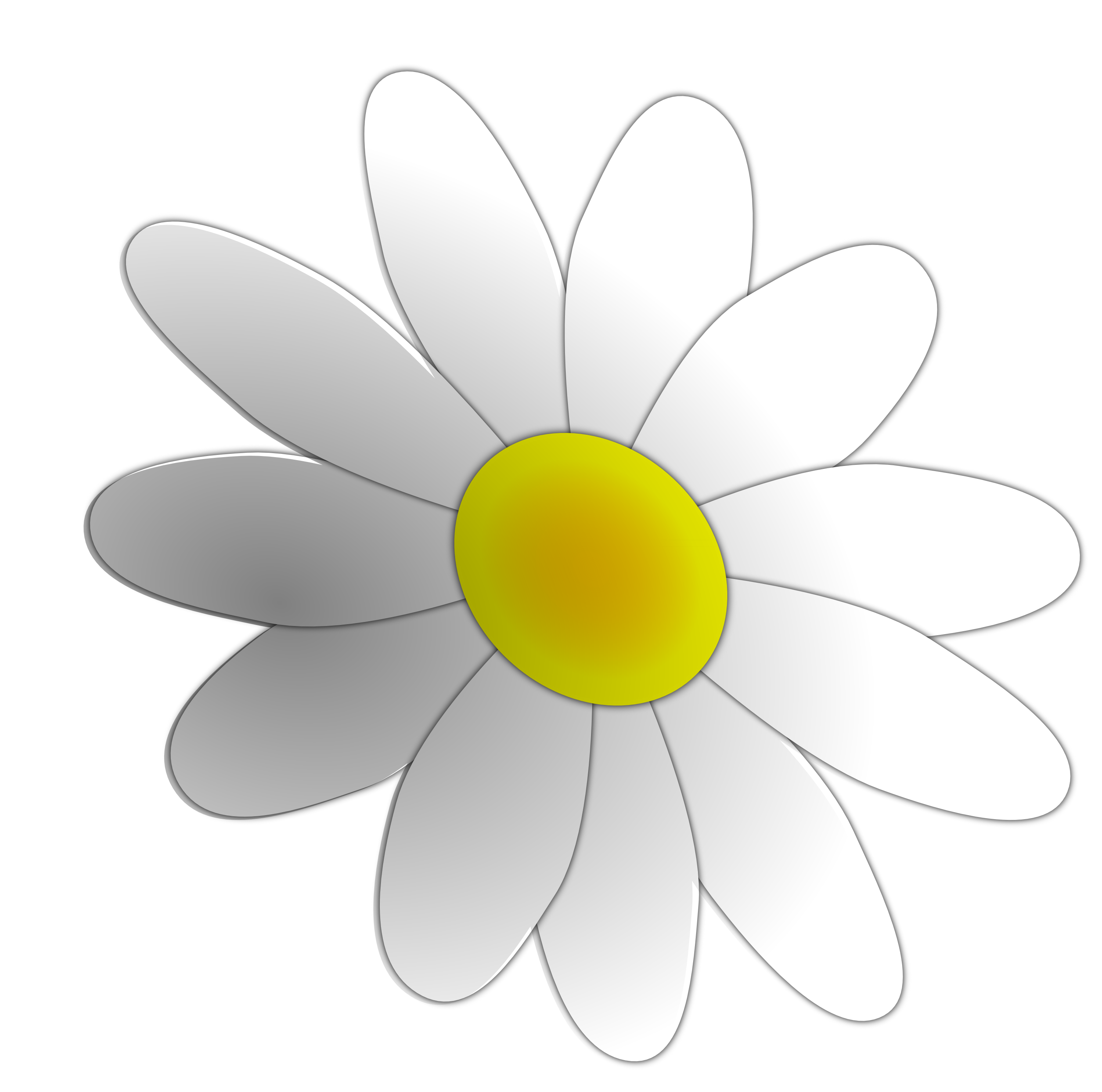 valentine daisy flower 9 SVG