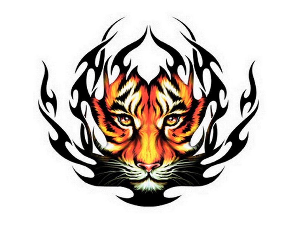 Tribal Tiger Tattoos - Designs and Ideas