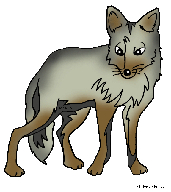 53+ Coyote Clipart