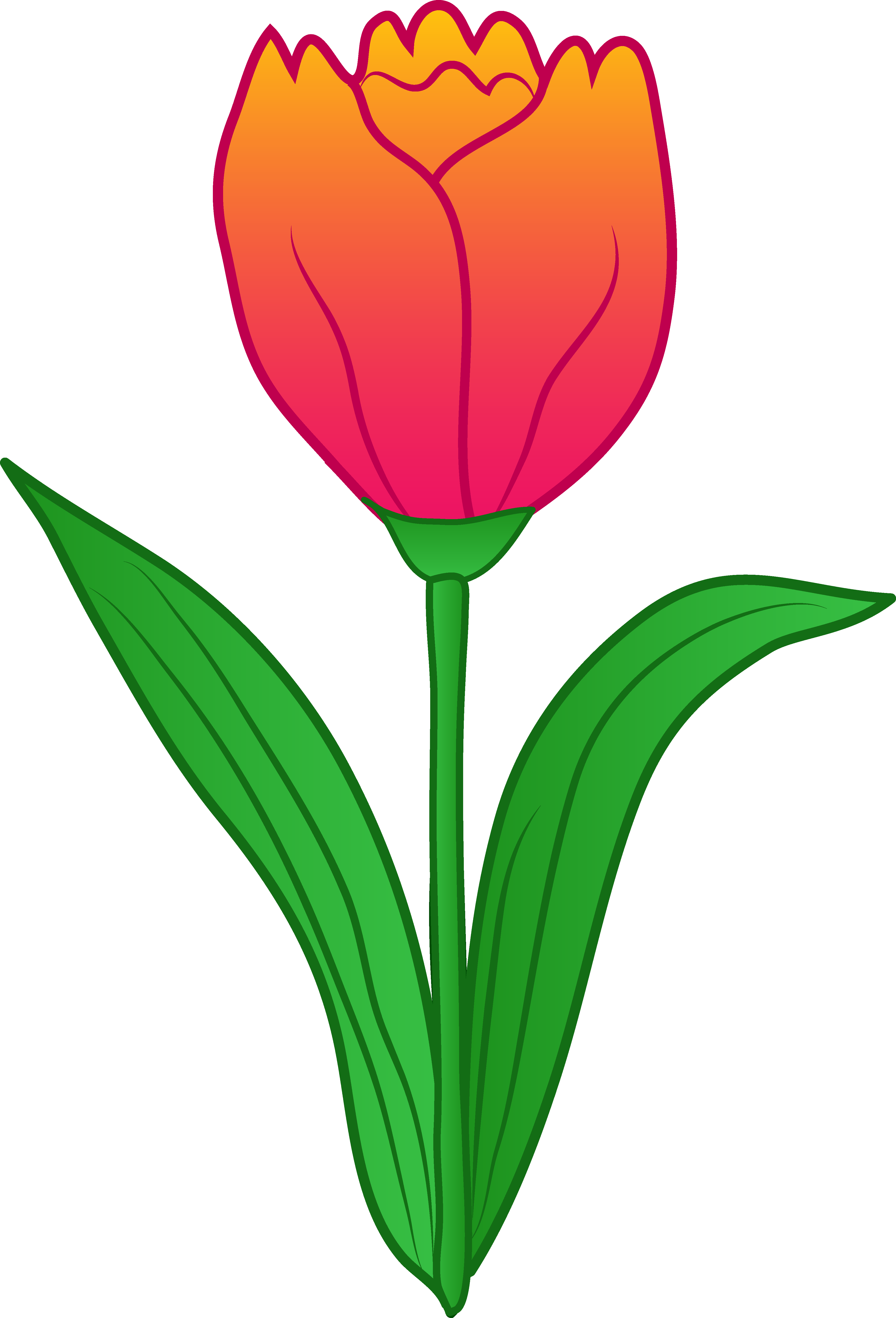 Tulip Flower Clip Art