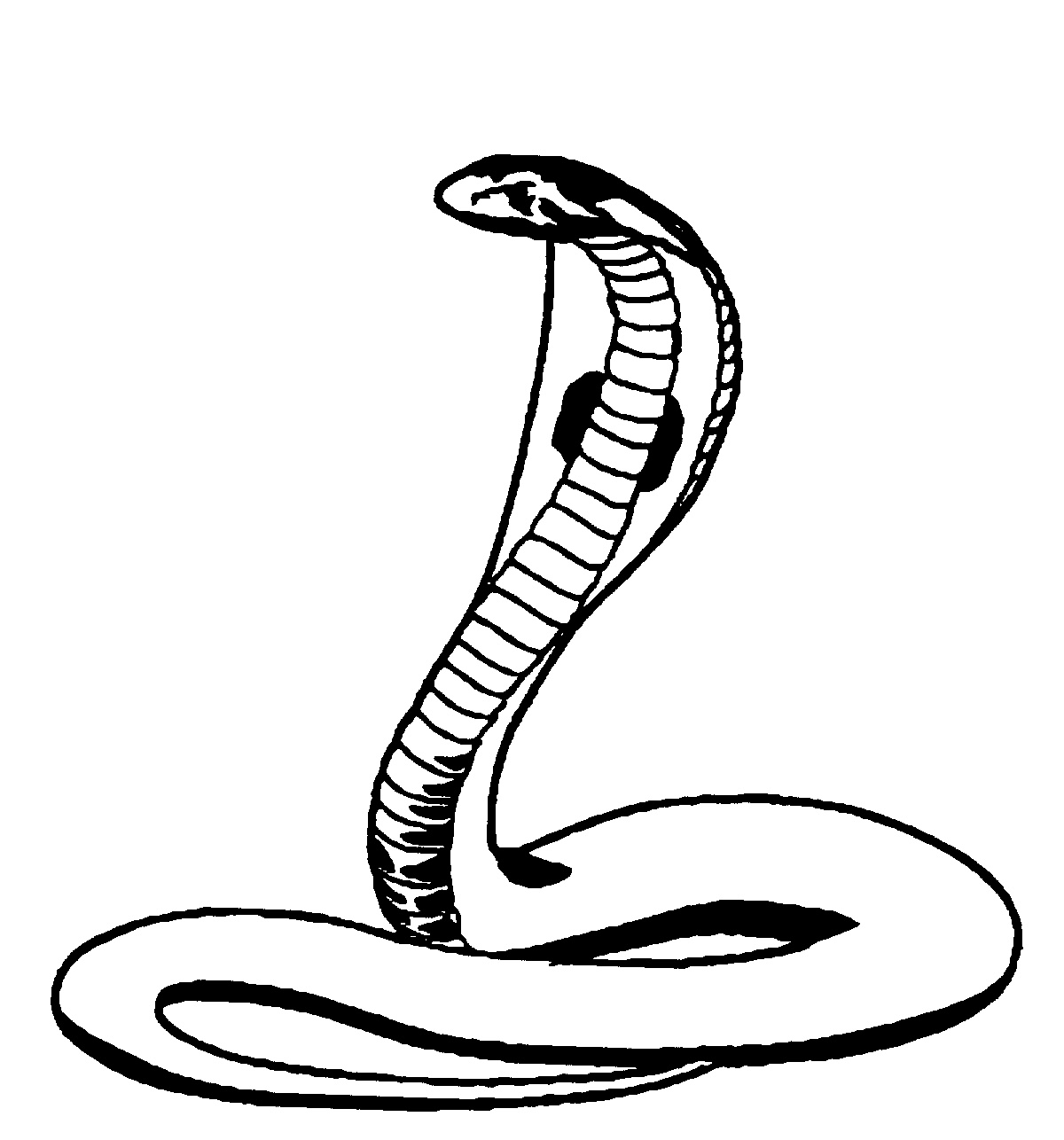 Cobra Clip Art