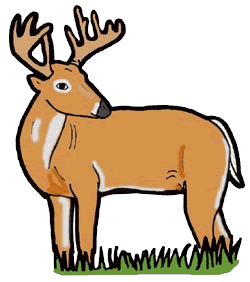 Clip art deer