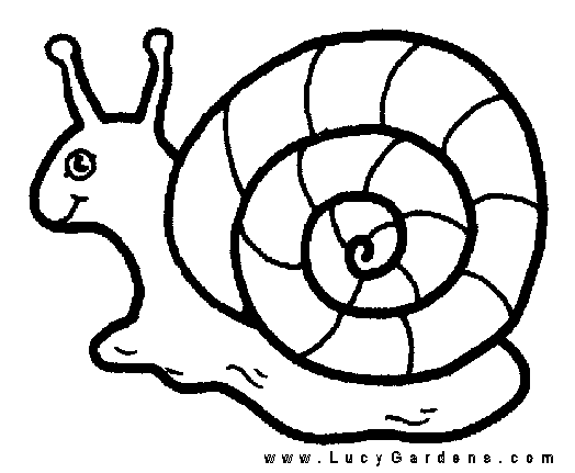 sea snail coloring pages - photo #20