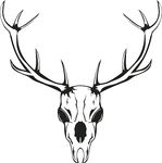 Animals For > Elk Skull Clip Art
