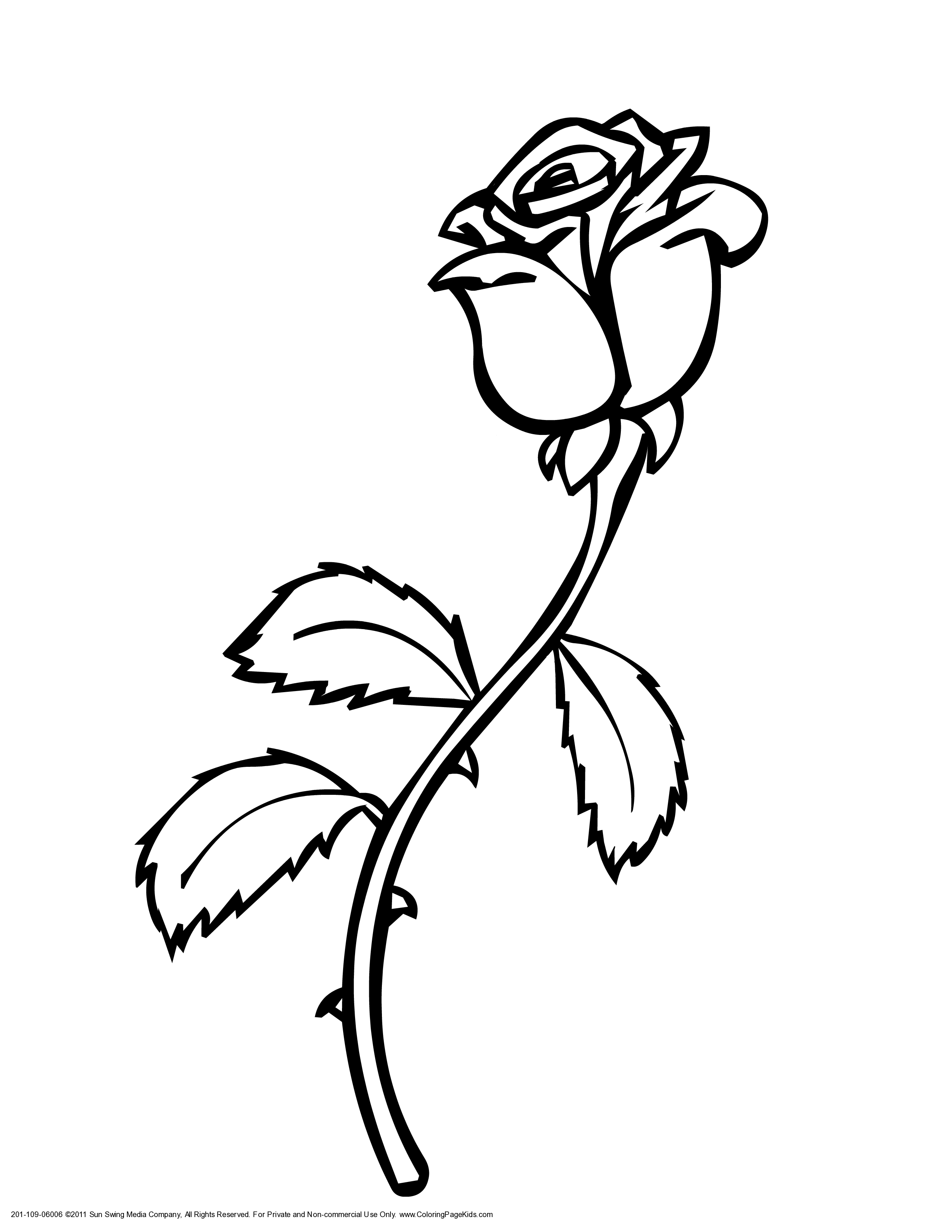 Single Black Rose Drawings