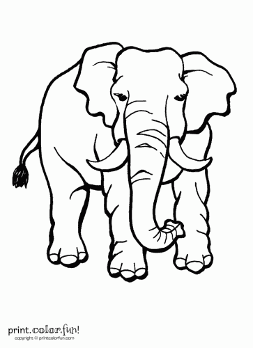 4 Best Images of Free Printable Elephant Crafts - Free Printable ...