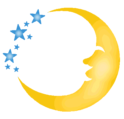 480 views stencil | walltowallstencils.com