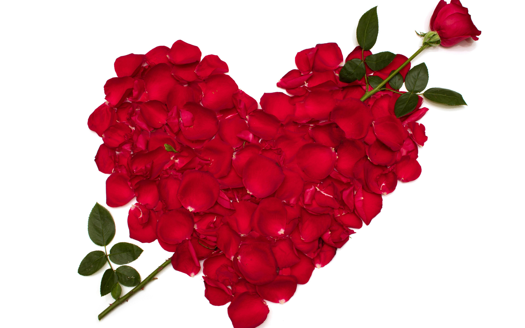 Red Rose Heart Wallpaper - ClipArt Best