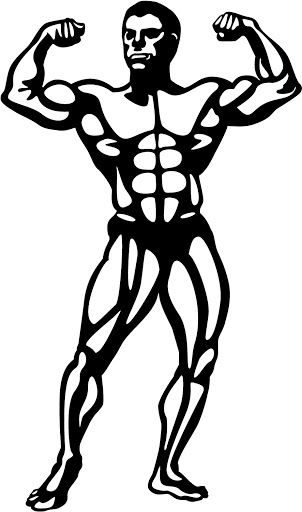 Cartoon Body Builder - ClipArt Best