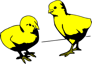 Baby Chicks Colored Clip Art - vector clip art online ...
