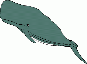 Whale Images Free | Free Download Clip Art | Free Clip Art | on ...