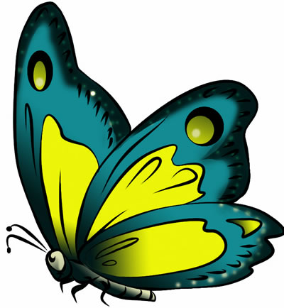 Flying butterfly clipart images
